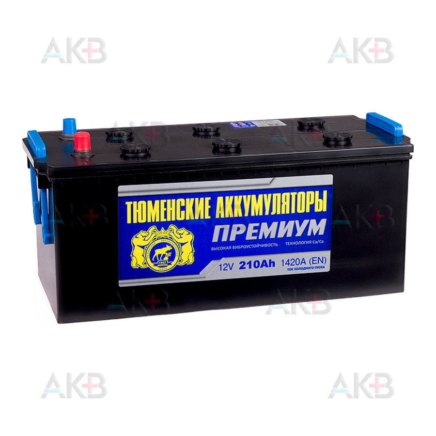 Автомобильный аккумулятор Tyumen Battery Premium 210 Ач прям. пол. 1420A (518x228x236)