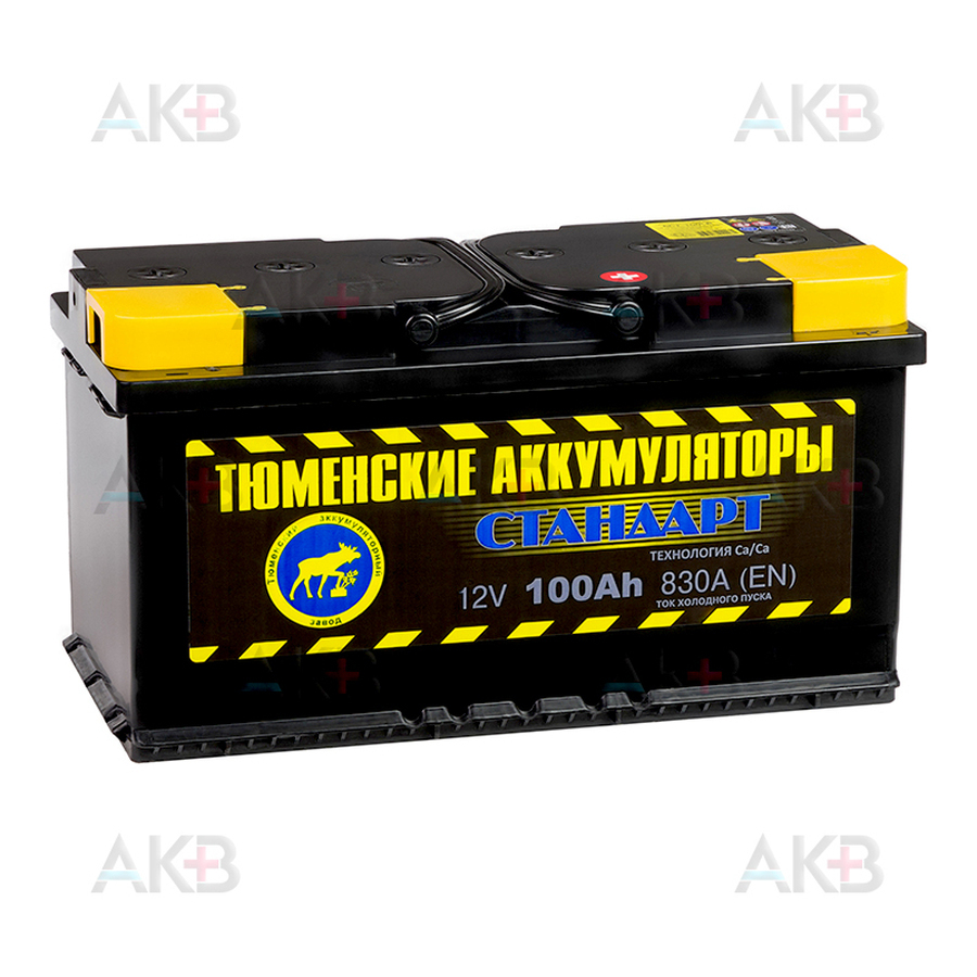 Автомобильный аккумулятор Tyumen Battery Standard 100 Ач обр. пол. 830A (353x175x190)