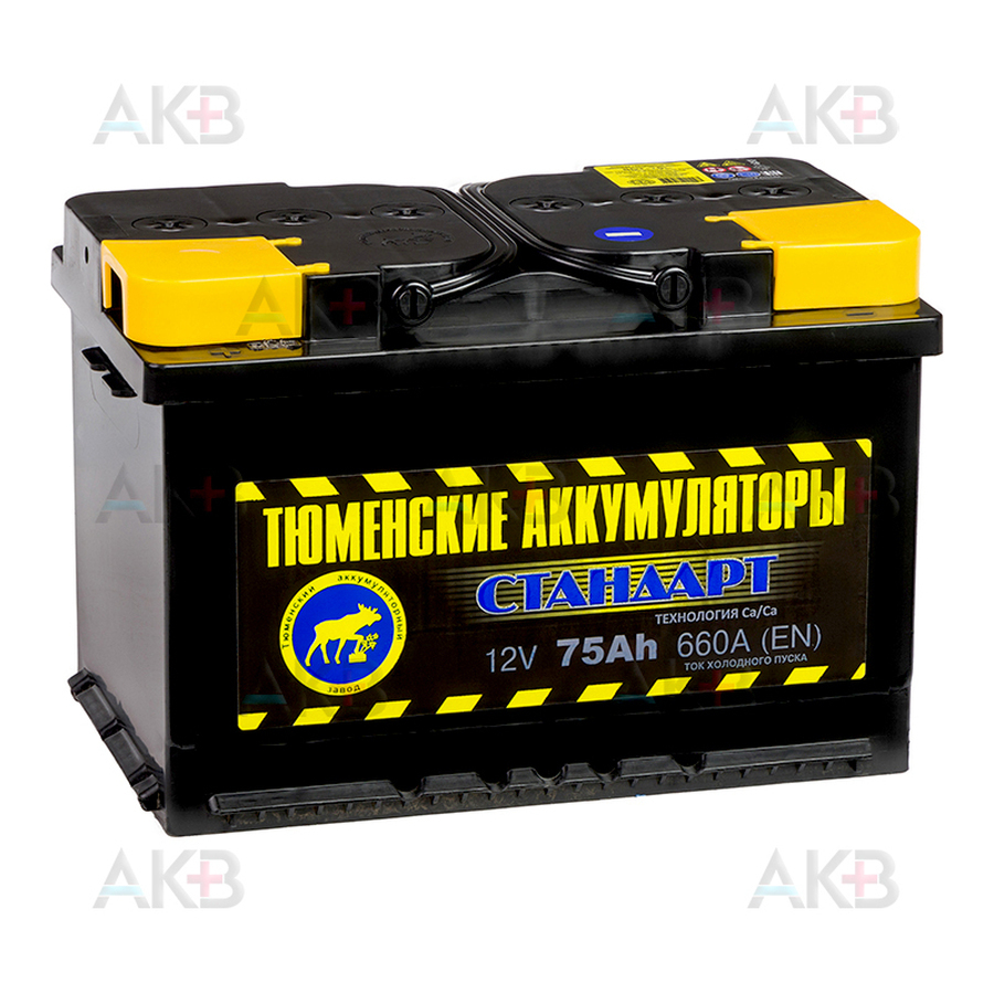Автомобильный аккумулятор Tyumen Battery Standard 75 Ач прям. пол. 660A (278x175x190)