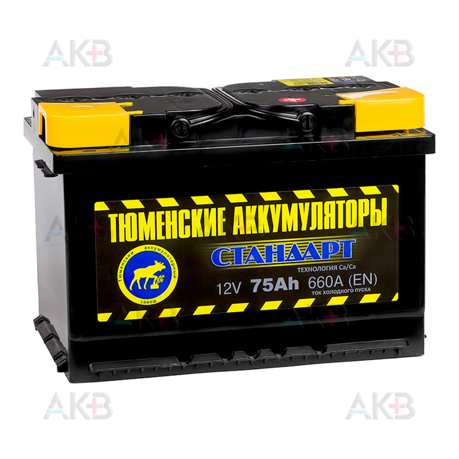Автомобильный аккумулятор Tyumen Battery Standard 75 Ач обр. пол. 660A (278x175x190)