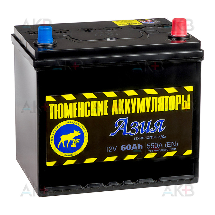 Автомобильный аккумулятор Tyumen Battery Asia 60 Ач обр. пол. 550A (232x173x225)