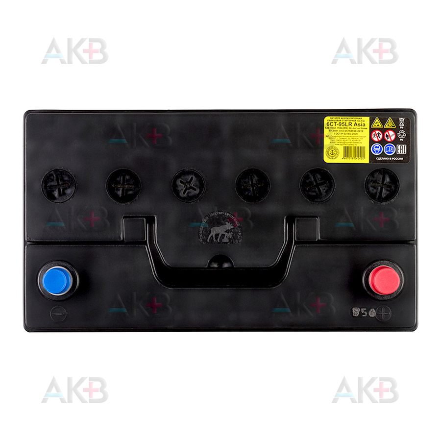 Автомобильный аккумулятор Tyumen Battery Asia 95 Ач обр. пол. 750A (302x173x225)