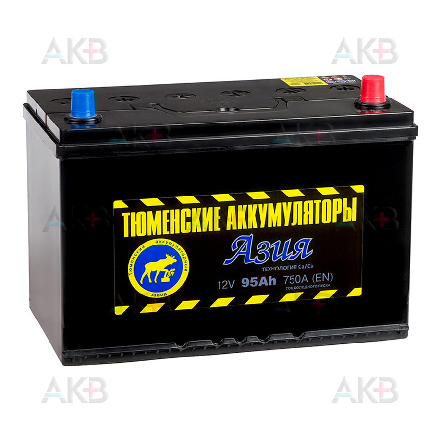 Автомобильный аккумулятор Tyumen Battery Asia 95 Ач обр. пол. 750A (302x173x225)