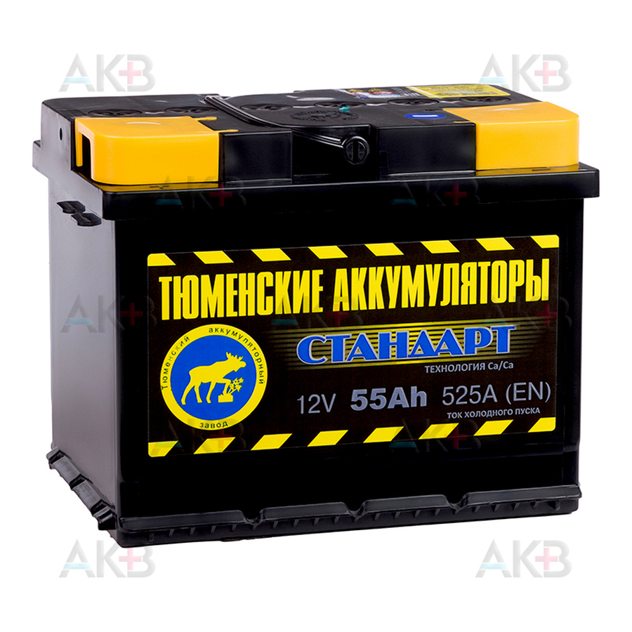 Автомобильный аккумулятор Tyumen Battery Standard 55 Ач прям. пол. 525A (242x175x190)