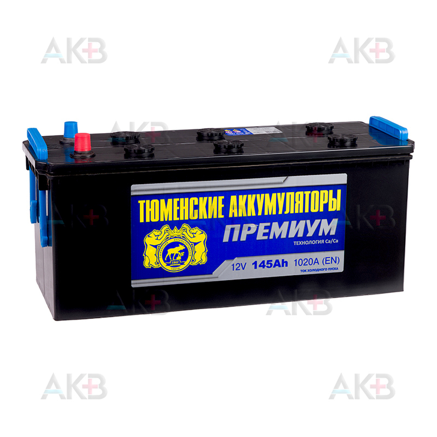 Автомобильный аккумулятор Tyumen Battery Premium 145 Ач прям. пол. 1020A (513x190x230)