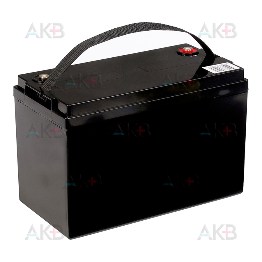 Аккумуляторная батарея Delta DT 12100, 12V 100Ah (330x173x214)