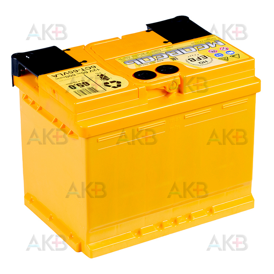 Автомобильный аккумулятор Медведь EFB 65 Ач 600A о.п. (242x175x190)