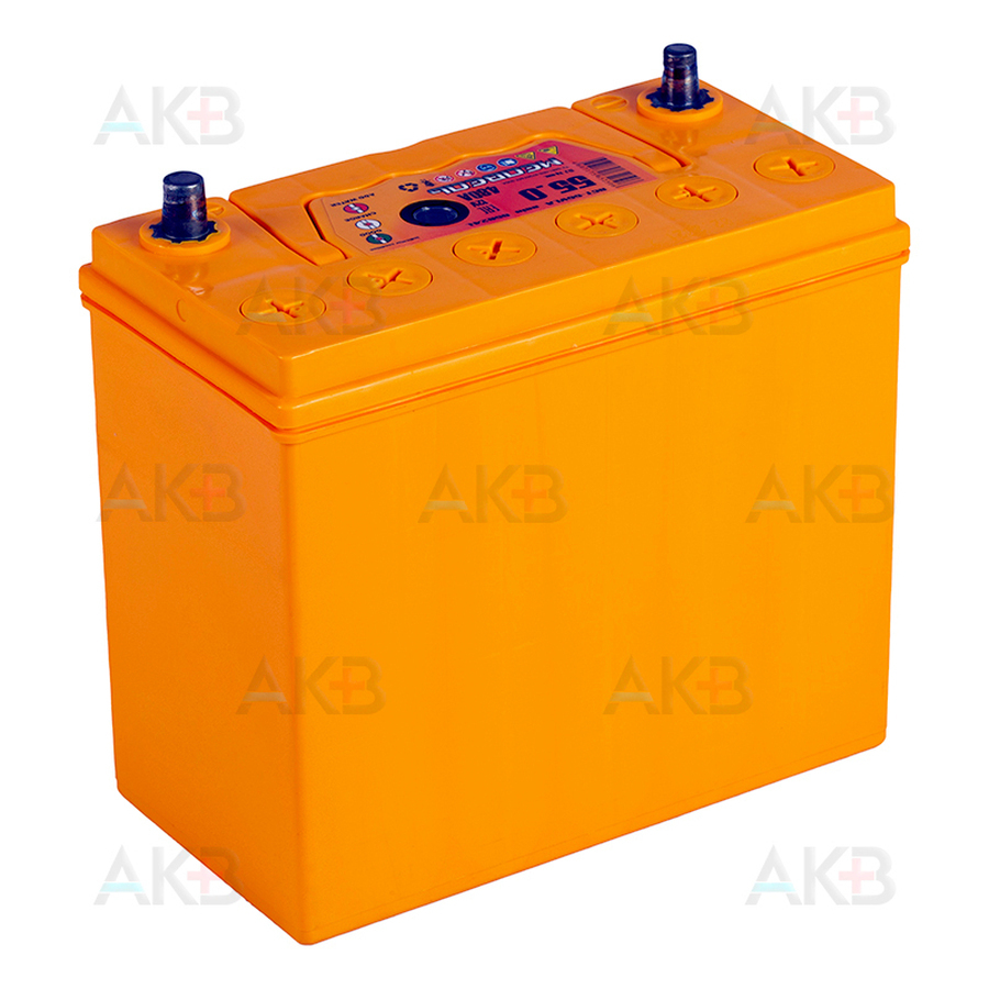 Автомобильный аккумулятор Медведь 65B24L 55 Ач 480A о.п. (238x129x227) ca/ca Silver Asia