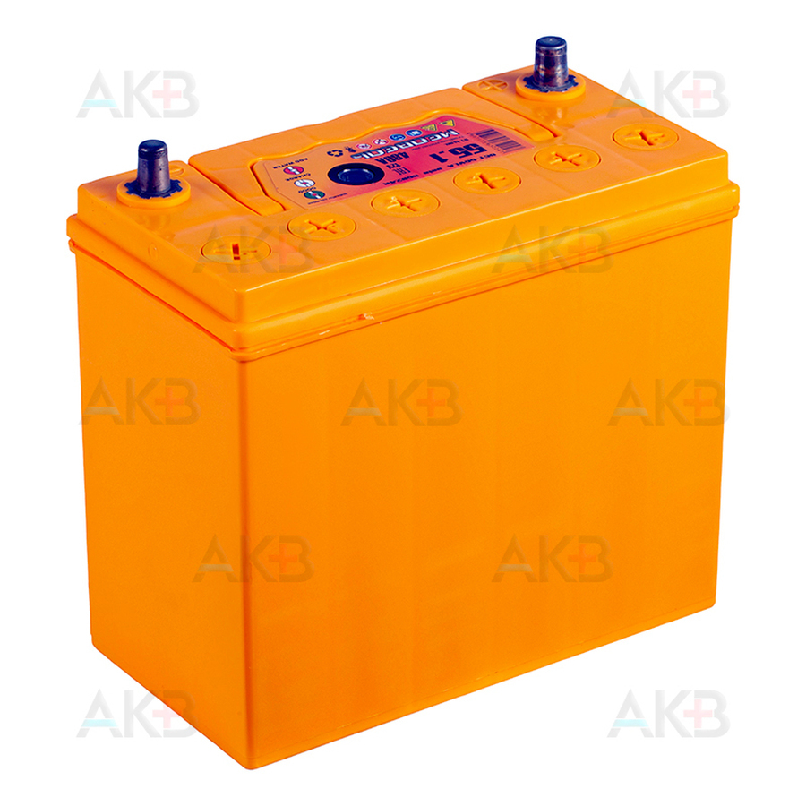 Автомобильный аккумулятор Медведь 65B24R 55 Ач 480A п.п. (238x129x227) ca/ca Silver Asia