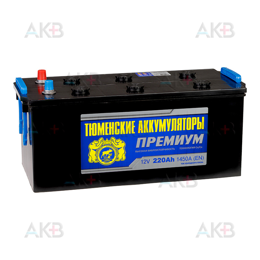 Автомобильный аккумулятор Tyumen Battery Premium 220 Ач обр. пол. 1450A (518x228x236)