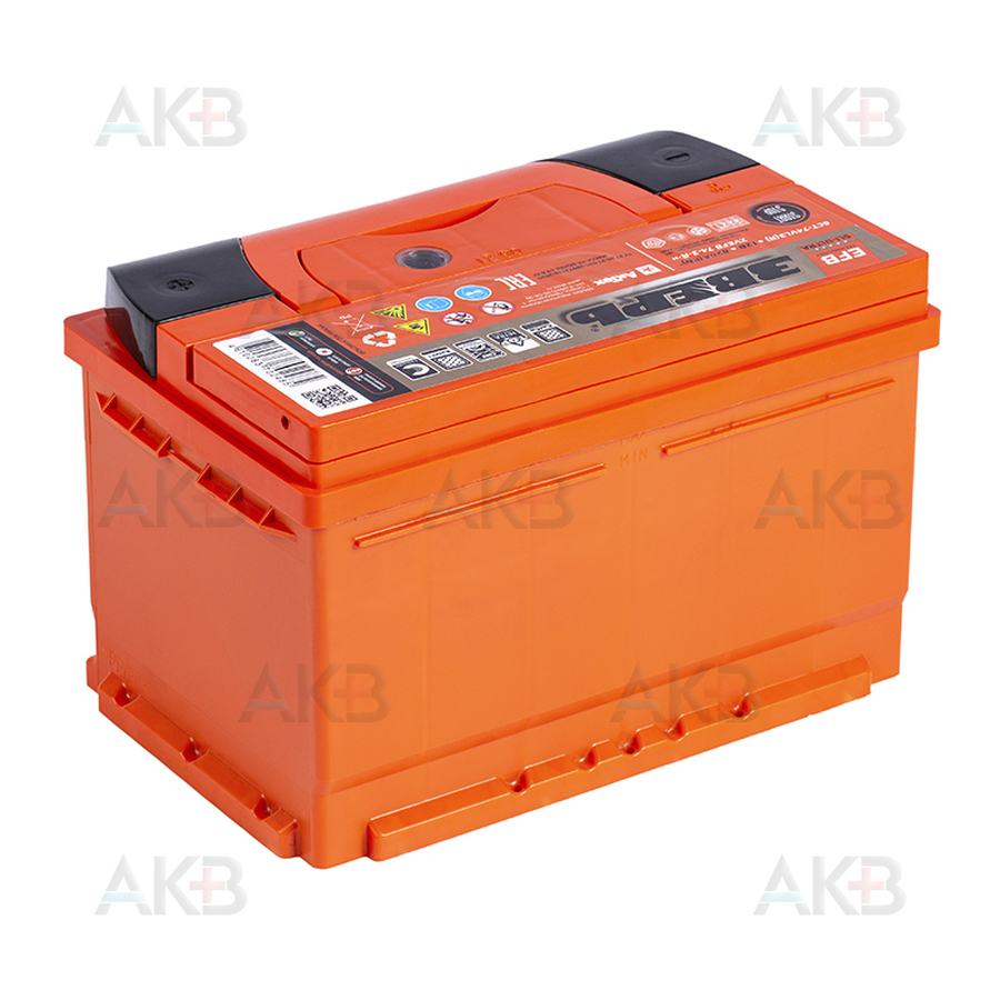 Автомобильный аккумулятор Зверь EFB 74Ач 750A обр. пол. (276x175x175) ZVEFB 74-З-R