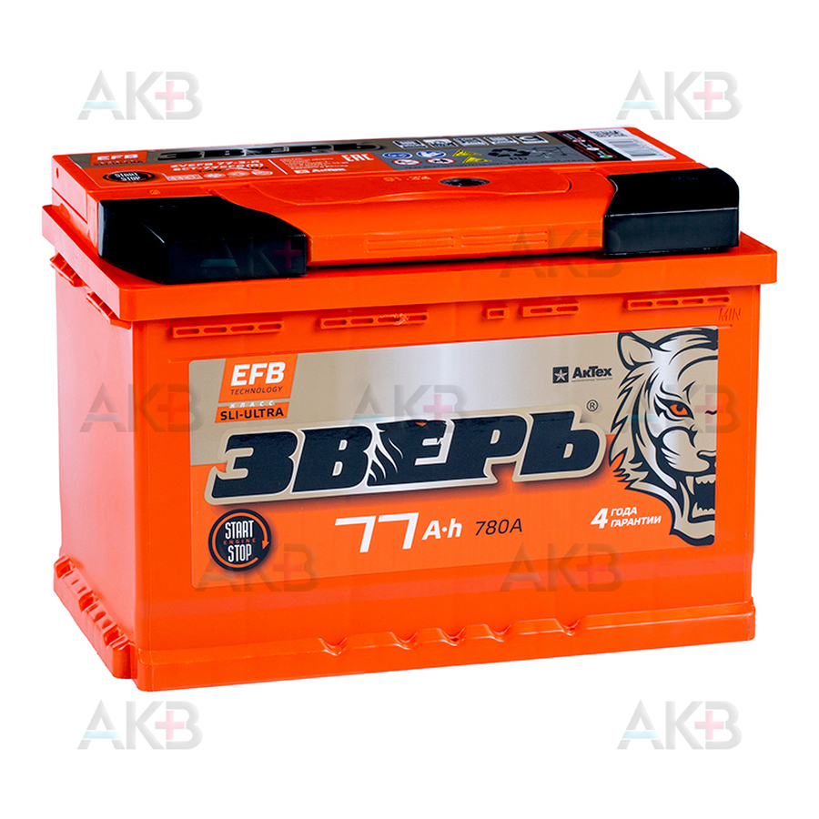 Автомобильный аккумулятор Зверь EFB 77Ач 750A обр. пол. (276x175x190) ZVEFB 77-З-R