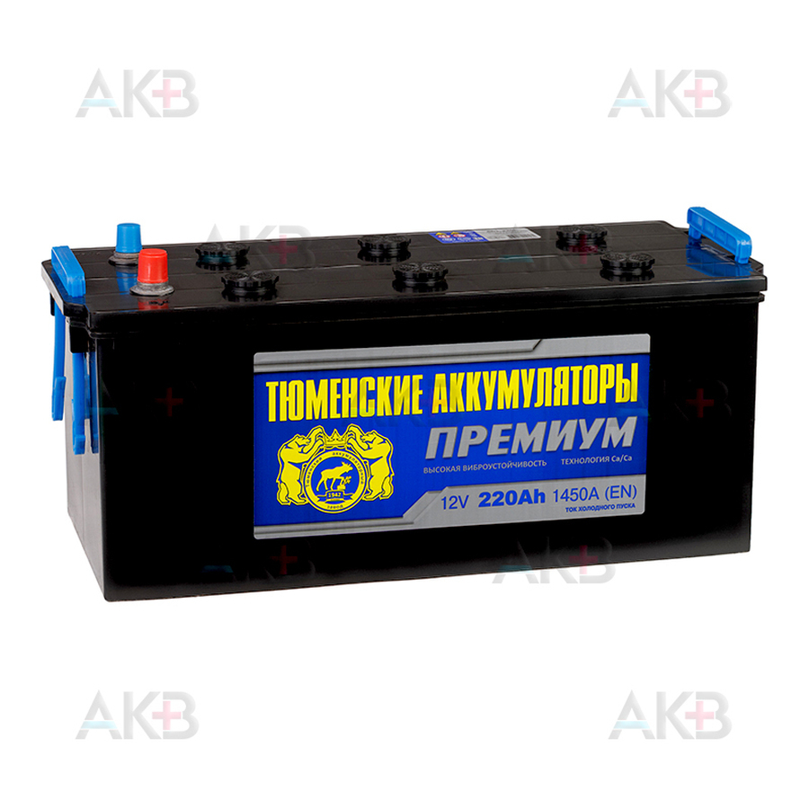 Автомобильный аккумулятор Tyumen Battery Premium 220 Ач прям. пол. 1450A (518x228x236)