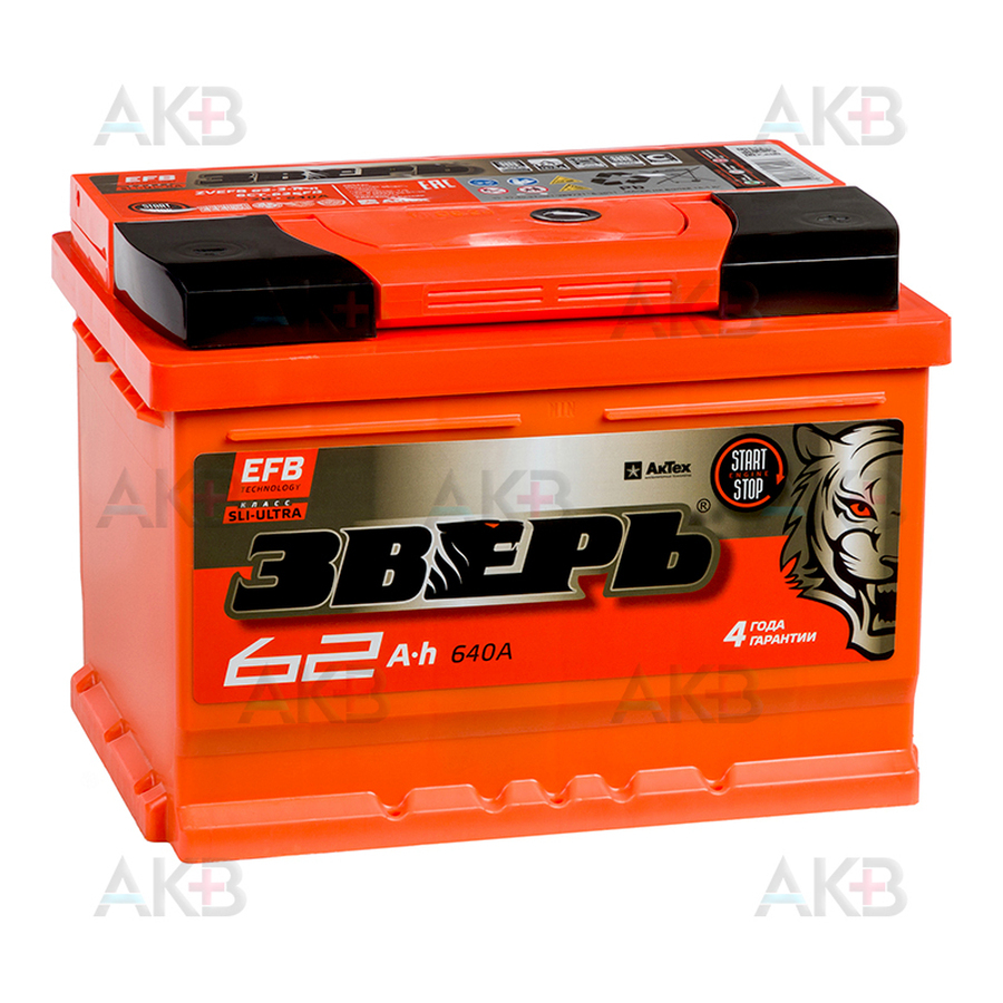 Автомобильный аккумулятор Зверь EFB 62Ач 640A обр. пол. (242x175x175) ZVEFB 62-З-R-n
