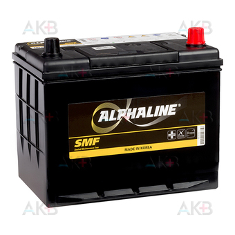 Alphaline Standard 80D26L 70R 600A 262x175x226