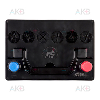 Автомобильный аккумулятор Tyumen Battery Asia 40 Ач обр. пол. 370A (187x127x227). Фото 2