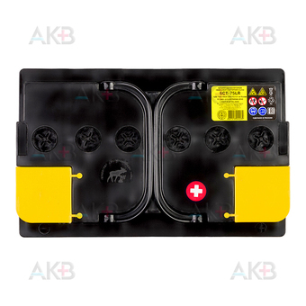 Автомобильный аккумулятор Tyumen Battery Standard 75 Ач обр. пол. 660A (278x175x190). Фото 2