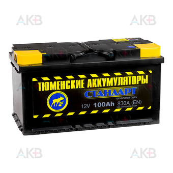 Tyumen Battery Standard 100 Ач прям. пол. 830A (353x175x190)