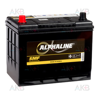 Alphaline Standard 80D26R 70L 600A 262x175x226
