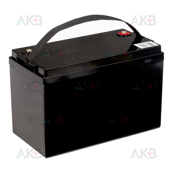 Аккумуляторная батарея Delta DT 12100, 12V 100Ah (330x173x214). Фото 2