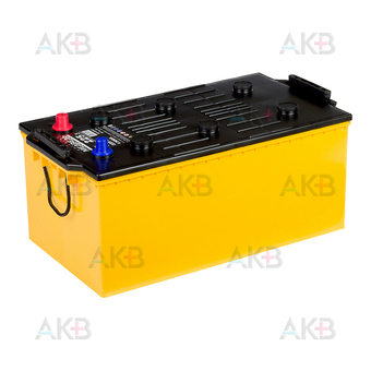 Автомобильный аккумулятор Тюменский медведь  225 Ач 1300A о.п. (518х274х237) Calcium Plus. Фото 2