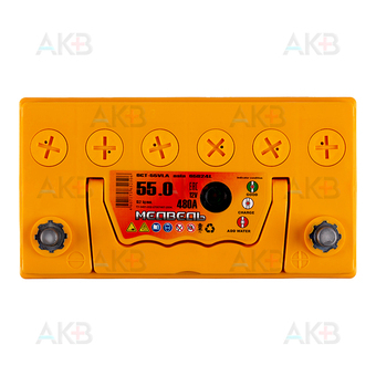 Автомобильный аккумулятор Медведь 65B24L 55 Ач 480A о.п. (238x129x227) ca/ca Silver Asia. Фото 1