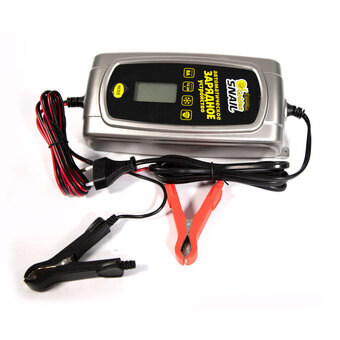 GOLDEN SNAIL GS 9223 12V/24V 8A автомат