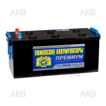 Tyumen Battery Premium 220 Ач обр. пол. 1450A (518x228x236)