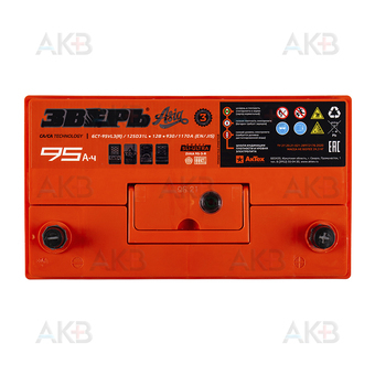 Автомобильный аккумулятор Зверь Asia 125D31L 95Ач 930A обр. пол. (306x173x225) ЗВА 95-З-R. Фото 1