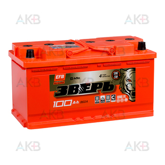 Зверь EFB 100Ач 860A обр. пол. (353x175x190) ZVEFB 100-З-R