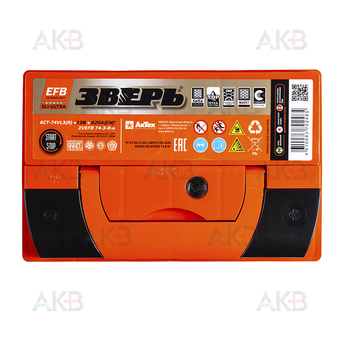 Автомобильный аккумулятор Зверь EFB 74Ач 750A обр. пол. (276x175x175) ZVEFB 74-З-R. Фото 1