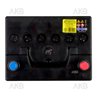 Автомобильный аккумулятор Tyumen Battery Asia 65 Ач обр. пол. 580A (232x173x225). Фото 1