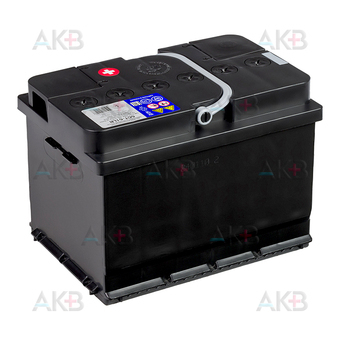 Автомобильный аккумулятор Tyumen Battery Premium 61 Ач обр. пол. низкий 540A (242x175x175). Фото 2