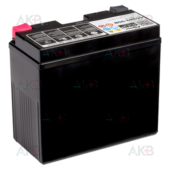 Мото аккумулятор RDrive OEM AGM 65989-90B GYZ20HL 12V 23.1Ah 330А обр. пол. (175x87x155). Фото 2