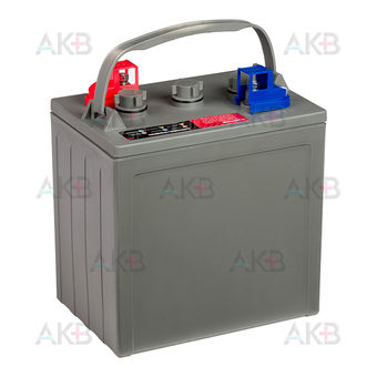 Аккумуляторная батарея UniPLUS DT106 6V 225 Ач (261x182x290) GOLF CAR BATTERY. Фото 2